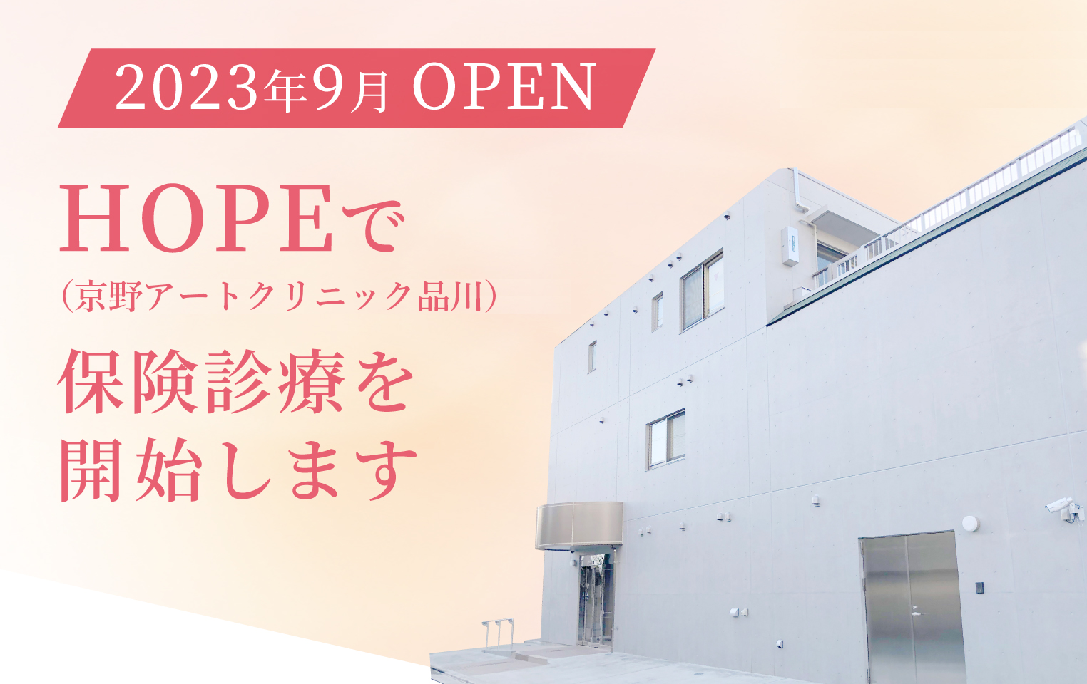 京野 アート クリニック 人気 予約