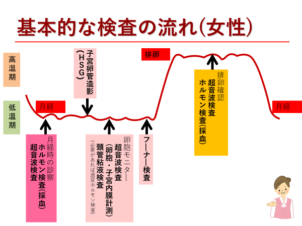 京野 アート クリニック 体外 受精 オファー スケジュール