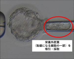 京野アートクリニック高輪