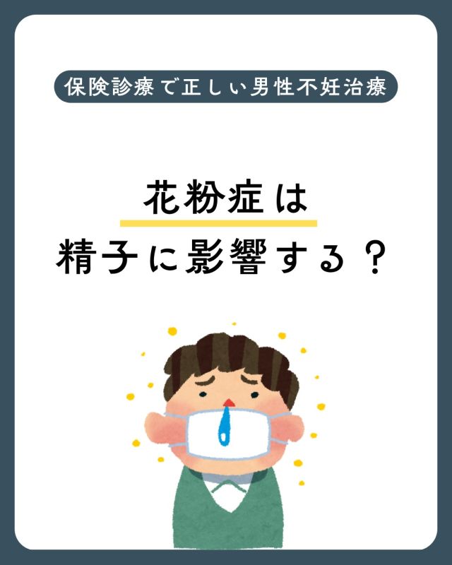 【保険診療で考える男性不妊治療】

病気のはなし⑥　
花粉症は精子に影響する？

春になるとつらい 花粉症🌲🤧

男性外来でも よくいただく質問があります。

「花粉症は精子に影響しますか？」 「花粉症の薬は妊活中でも大丈夫ですか？」

結論からお伝えすると
👉 花粉症だけで不妊になるという強い証拠はありません。

ただし花粉症の時期は 体内でヒスタミンや炎症物質が増え

・体のだるさ ・睡眠の質の低下 ・ストレス増加

などが起こりやすくなります。

これらが続くと 性欲低下やコンディション低下につながる可能性があります。

さらに気になるのが 花粉症の薬💊

現在よく使われている 第二世代抗ヒスタミン薬
（ビラノア・デザレックス・アレグラなど）は

📌 精液所見を悪化させる明確な臨床データはほとんどありません

むしろ

症状を我慢して😣 ・睡眠の質が低下 ・疲労やストレス増加
することの方が 妊活にとってマイナスになる可能性があります☝️

🌿 妊活中の花粉症対策

✔ 第一世代抗ヒスタミン薬を避ける ✔ 第二世代の薬を使用する ✔ 点鼻ステロイドを併用する ✔ 薬が気になる場合は主治医に相談

また精子は 約3か月かけて作られます。

もし花粉症シーズンに 精液検査が悪かった場合でも
📅 2〜3か月後に再検査することが大切です。

花粉症シーズンも 体調を整えながら妊活を進めていきましょう🌿

気になることがあれば 男性外来までご相談ください🧑‍⚕️

保存して妊活の参考にしてください📌

詳しくは当院ホームページ
医療コラムもご覧ください
🔗https://ivf-kyono.com

検索🔍ワードは「京野　男性不妊　花粉症」
保険診療で正しい男性不妊治療を
病気のはなし⑥　
花粉症は精子に影響する？

〜〜・〜〜・〜〜・〜〜・〜〜・〜〜・〜〜
このアカウントでは
妊活を始めたい方
不妊治療を考えている方
現在治療中の方に向けて

🌷実際の不妊治療について
🌷体づくりや生活習慣について
🌷医師の勤務状況
🌷不妊治療最新情報
🌷学会報告＊コラム
などなど投稿しております☝️

@kyono_art_clinic 

👉気になる投稿があれば保存&シェア
👉最新情報を見逃さないように、
ぜひフォローをお願いします！

@kyono_art_clinic 

〜〜・〜〜・〜〜・〜〜・〜〜・〜〜・〜〜

#男性不妊 #妊活 #妊活サポート #花粉症 #男性不妊治療